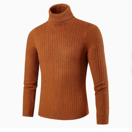 Pull homme col roulé coupe ajustée vue de dos