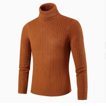 Pull homme col roulé coupe ajustée vue de dos